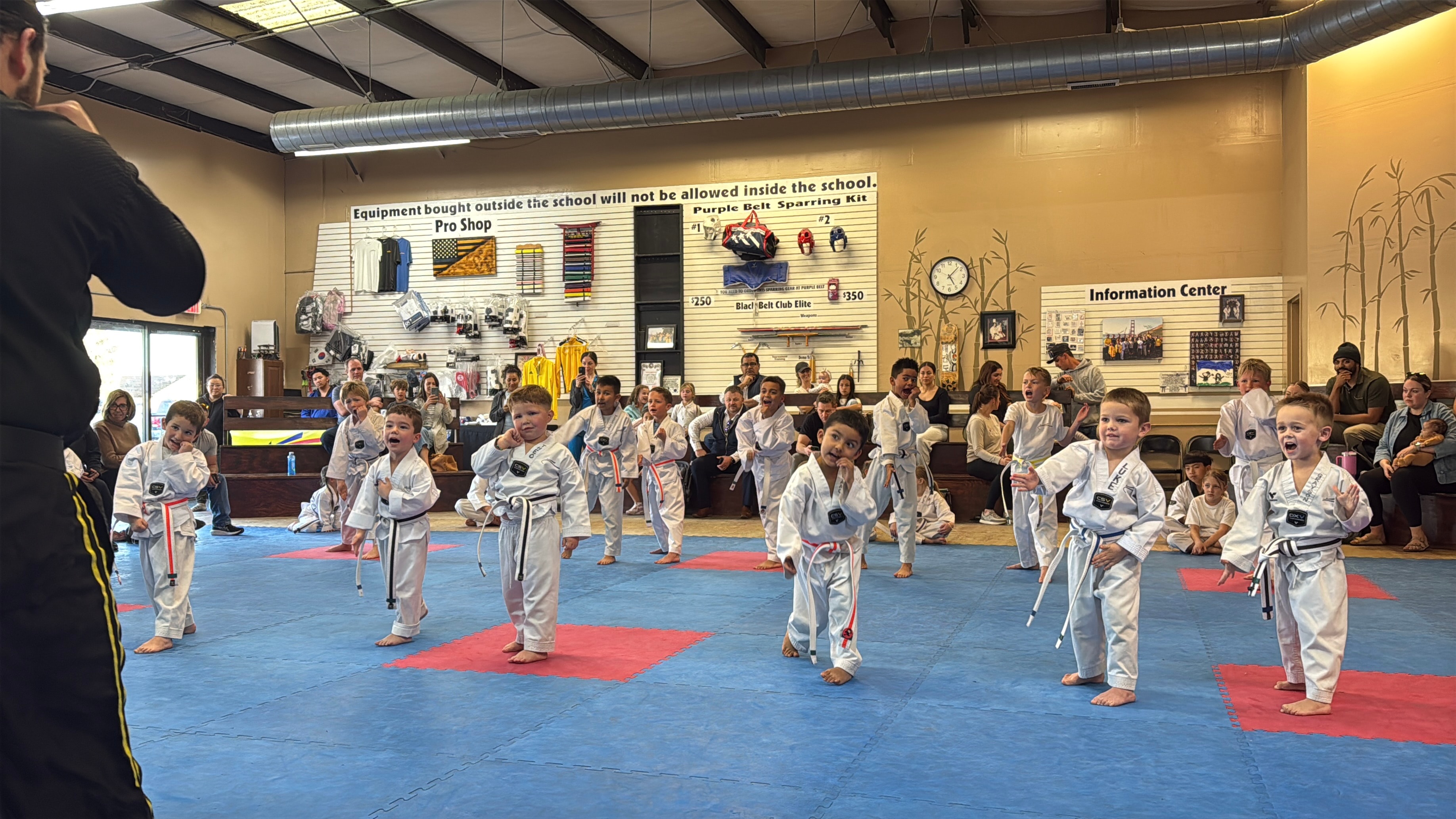 Children practicing martial arts in a class formation