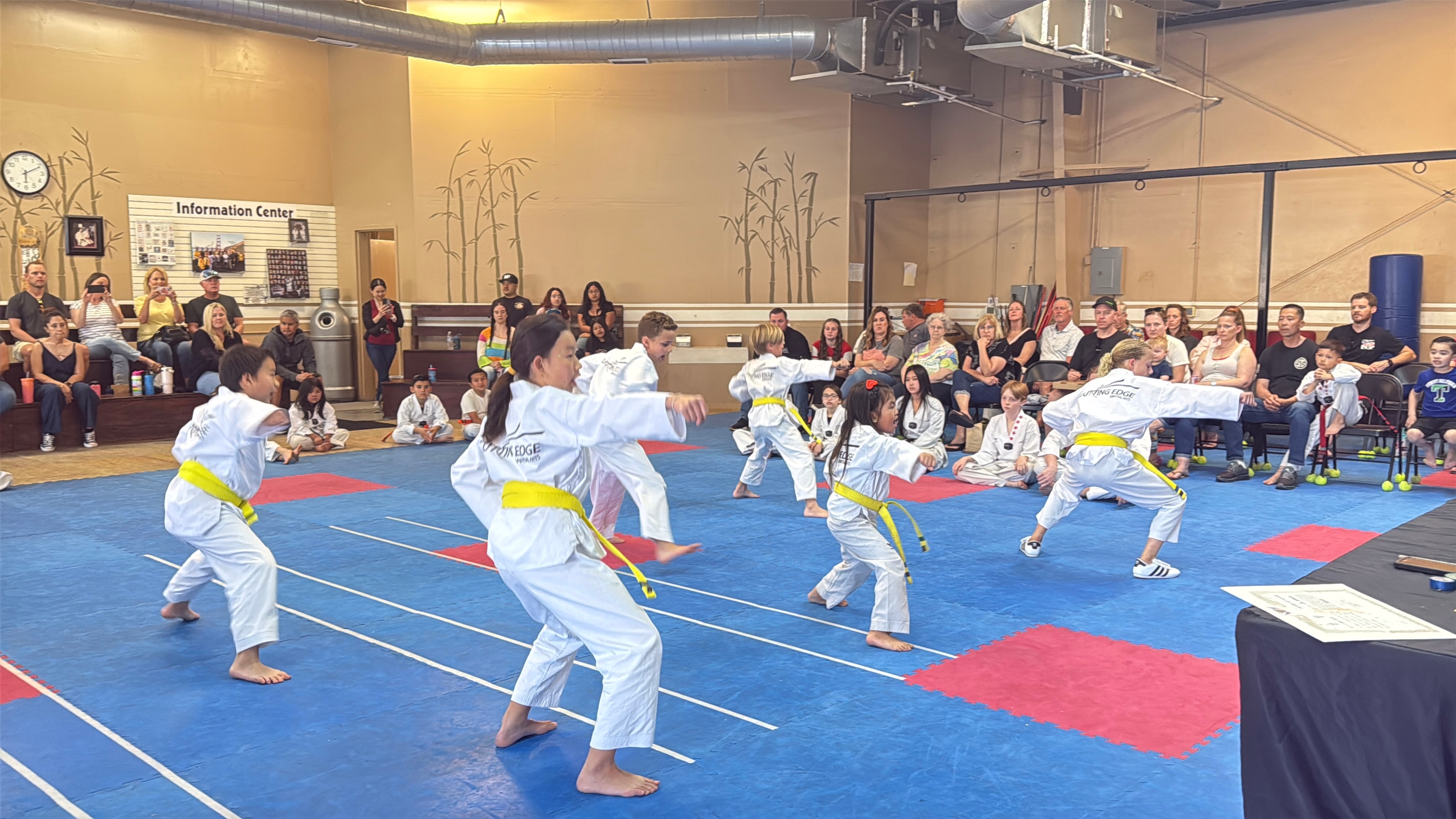 Martial arts students training together in the dojo